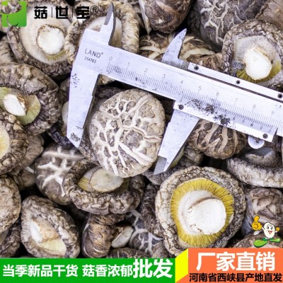 河南冬花菇大小均匀西峡香菇干货香味浓郁新货剪脚5件/5市斤起批图3