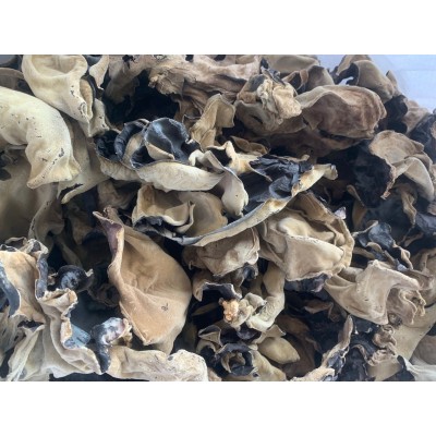 毛木耳白背木耳10KG整袋装批发干货产地厂家直销头茬毛木耳图3