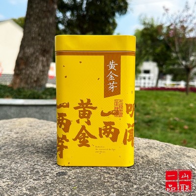 茶叶铁罐通用一套双罐手提袋礼盒白茶黄金芽龙井茉莉花茶叶包装图4