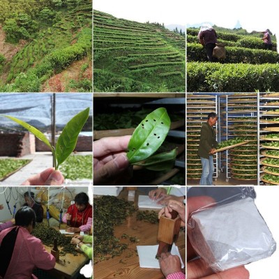 漳平水仙茶乌龙茶新春茶上市水仙茶叶工厂代发250/500g茶饼图5