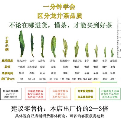 龙井茶杭州厂家绿版龙井茶龙井43号品种散茶批发炒青绿茶叶图2