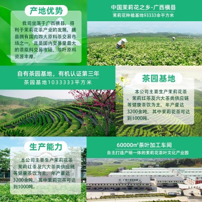 浓香型早春绿茶新茶绿茶毛尖高山云雾绿茶散装批发500g图3