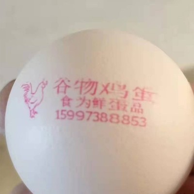 五谷散养虫草土鸡蛋产地批发免费喷码（1斤10个左）农家土鸡蛋图3
