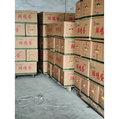 五谷散养虫草土鸡蛋产地批发免费喷码（1斤10个左）农家土鸡蛋图4