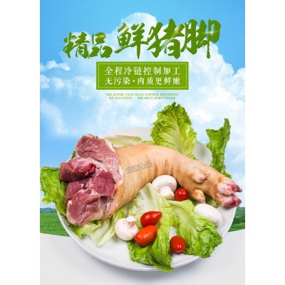 厂家直供猪副食品开边猪脚 普通鲜冻开边猪后蹄 冷冻生鲜食品图2