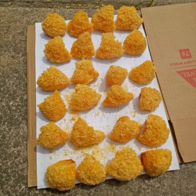 古田特产丑耳块 一箱60斤丑耳块味美无硫银耳木耳 厂家直销批发图4