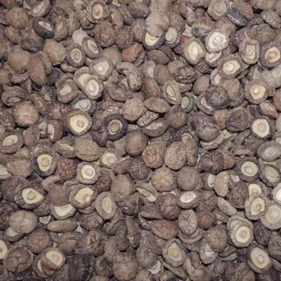 2-2.5香菇 脱水香菇脚香菇丁香菇大量批发2-2.5香菇干图2