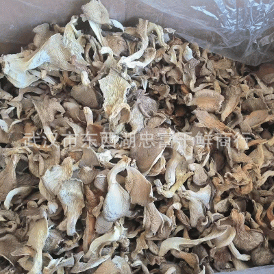 基地厂家 干货平菇 平菇条 新货鲍鱼菇凤尾菇真姬菇500g散装批发图3