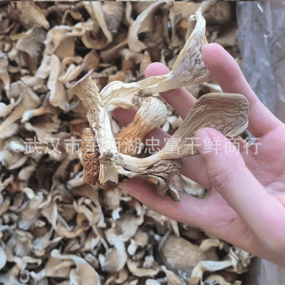 基地厂家 干货平菇 平菇条 新货鲍鱼菇凤尾菇真姬菇500g散装批发图2