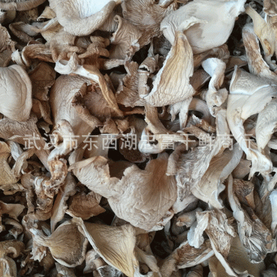 基地厂家 干货平菇 平菇条 新货鲍鱼菇凤尾菇真姬菇500g散装批发图5