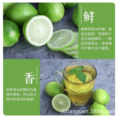 广东香水柠檬新鲜现摘无籽奶茶店专用一级青柠檬当季批发包邮整箱图2