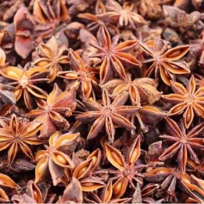 广西有机大红八角防城地理标志产品软枝红花八角角果肥大显棕红色图3