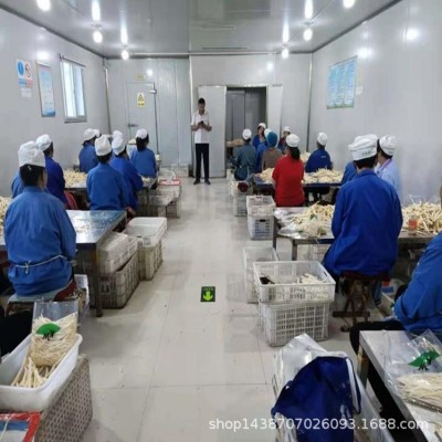 十成干桔梗丝 淄博博供农产品有限公司 箱装桔梗 淄博桔梗丝图4