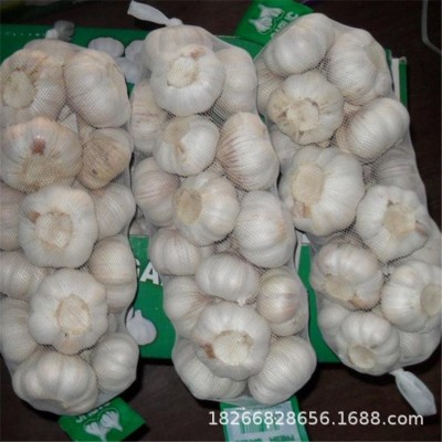 山东大蒜批发 普白大蒜四六瓣4.5-6.cm白皮红皮干大蒜头 库存充足图3
