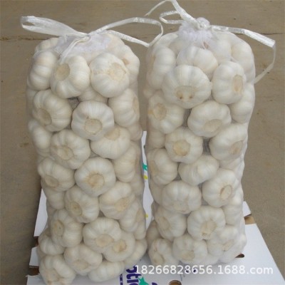 山东大蒜批发 普白大蒜四六瓣4.5-6.cm白皮红皮干大蒜头 库存充足图4
