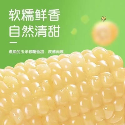 承接代加工白糯玉米东北新鲜糯玉米软糯图4