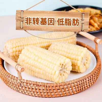 承接代加工白糯玉米东北新鲜糯玉米软糯图2