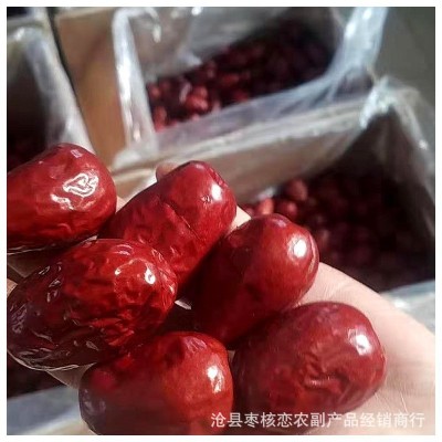 批发新疆和田大枣500g 大红枣煮粥 大个子枣子皮薄肉厚大骏枣零食图3