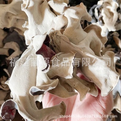 定制包装 出口品质水洗黑木耳 5cm以上大朵原料木耳 漳州白背黑木图5