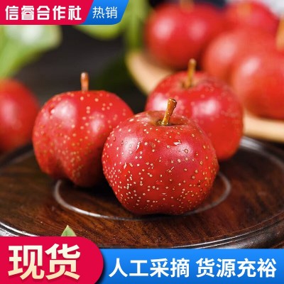 农家现摘酸甜可口开胃山楂果大五楞鲜山楂果 休闲零食新鲜山楂果图3