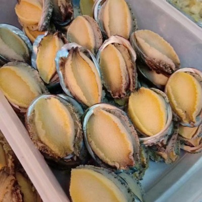 带壳去肚鲍鱼 新鲜活冻鲍肉 液氮速冻冷链袋装 原壳酒店海鲜图2