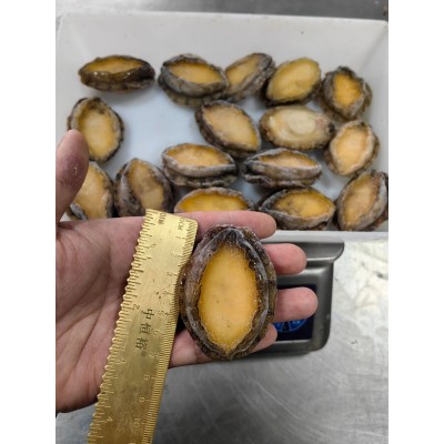 鲍鱼肉【鲍鱼厂家】鲍鱼全系列产品齐全 自助餐食材 冻鲍鱼肉图3