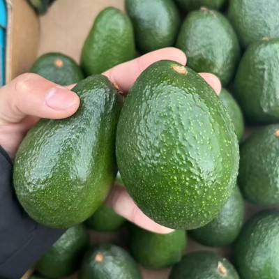 批发进口牛油果生果即食熟果智利墨西哥秘鲁整箱催熟果批发图2