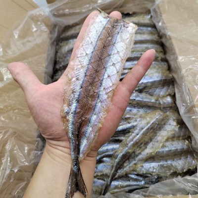 马步鱼干 烧烤马步鱼棒棒鱼多味鱼烤鱼片烧烤店专用马步鱼批发图2