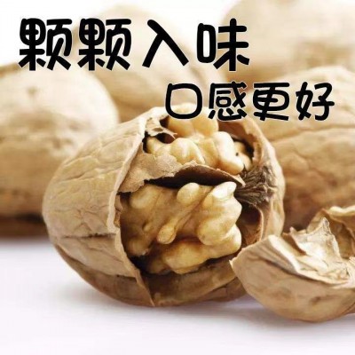 纸皮核桃新疆核桃薄皮2023新货孕妇专用原味生核桃手剥烤核桃核桃图4