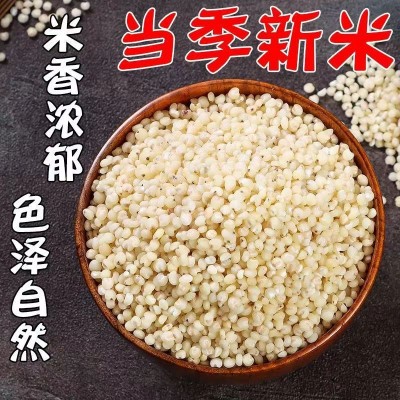 东北高粱米500克2023年新米五谷杂粮粗粮酿酒食用农家白高粱米图3
