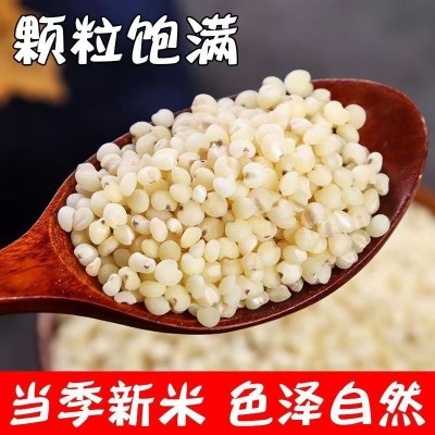 东北高粱米500克2023年新米五谷杂粮粗粮酿酒食用农家白高粱米图4