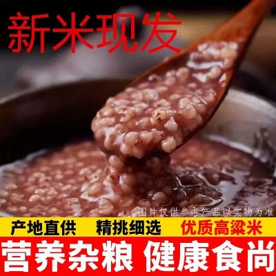 东北红黏糯高粱米500g食用酿酒脱皮红高粱米粗粮五谷杂粮粘高粱米图2