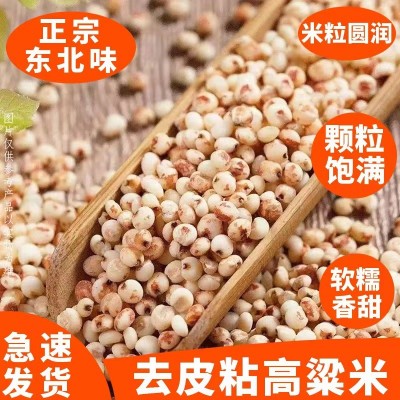东北红黏糯高粱米500g食用酿酒脱皮红高粱米粗粮五谷杂粮粘高粱米图3