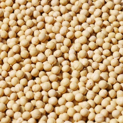 低温烘焙 熟黄豆 批发五谷杂粮 豆浆磨粉原料图4