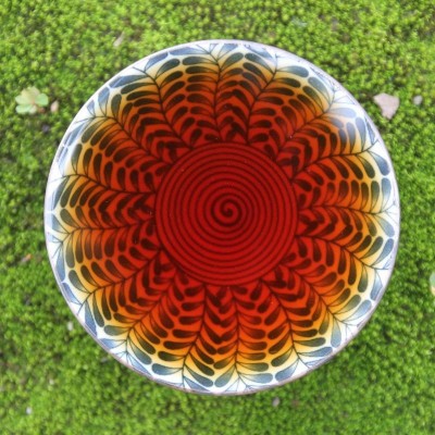 武夷岩茶 五大名枞 奇丹 纯种大红袍 二代嫁接 中足火碳味大红袍图5