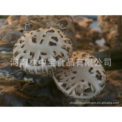 现货库存散装野生香菇花菇干货批发西峡食用菌香菇干货花菇图2