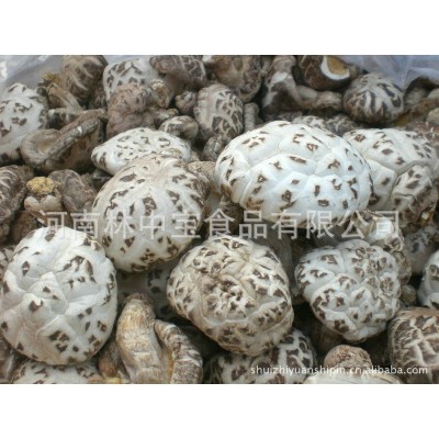现货库存散装野生香菇花菇干货批发西峡食用菌香菇干货花菇图3