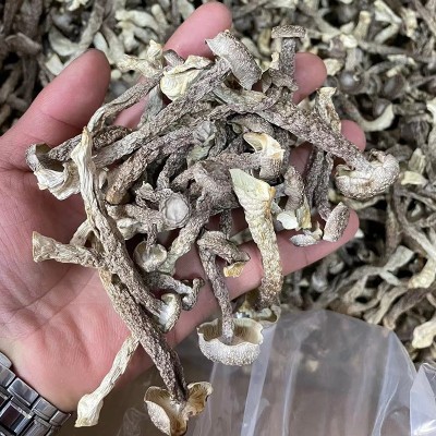 鹿茸菇当季新货鹿茸菌干货脆脆菇干姑蘑菇食用菌菌菇食材批发图3