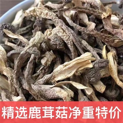 精选鹿茸菇干货无硫鹿茸菌干香菇干货土特产无添加产地直销批发价图2
