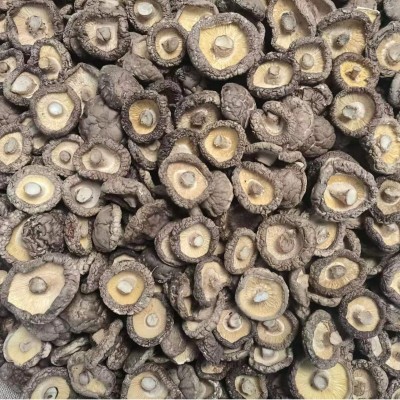 西峡双龙香菇大厚菇冬菇河南农家特产肉厚无根散装商用图3