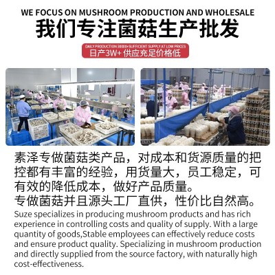 产地直销高原羊肚菌菇干货500克无沙头茬羊肚菌干货大货批 发 包邮图3