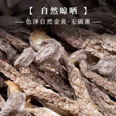 鹿茸菇干货散装云南特产煲汤食材脆脆菇大件批发现货厂家菌 菇干貨图3
