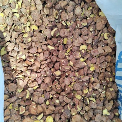 特产地茶籽批发江西高山茶油压榨木本油料天然油茶籽油干油茶籽仁图2
