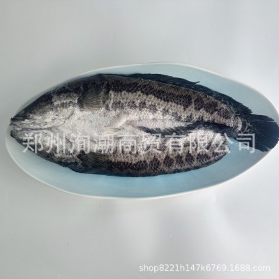 冷冻水产批发开背黑鱼 餐厅大排档烧烤铁板烤鱼商用去内脏黑鱼图3