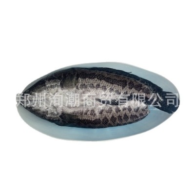 冷冻水产批发开背黑鱼 餐厅大排档烧烤铁板烤鱼商用去内脏黑鱼图5