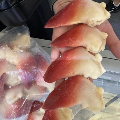 北极贝 马贝 日料同款 1000克 刺身料理寿司食材 北极贝整只图2