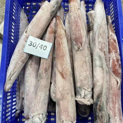 东山本港批发干冰大鱿鱼，30/40公分，单条0.8~1斤、供酒店、餐厅图4