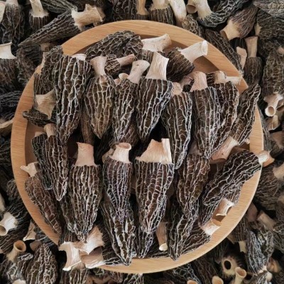 云南头茬羊肚菌干货 煲汤食材羊肚菌剪脚原产地批发代发图2