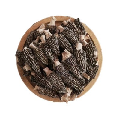 云南头茬羊肚菌干货 煲汤食材羊肚菌剪脚原产地批发代发图5