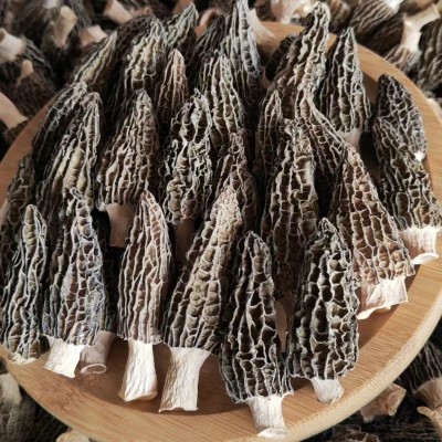 云南头茬羊肚菌干货 煲汤食材羊肚菌剪脚原产地批发代发图3